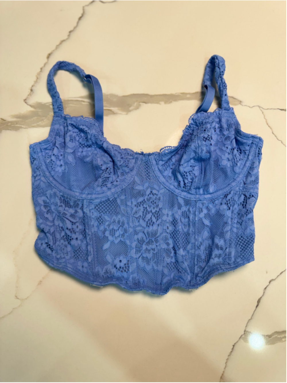 Gilly Hicks Blue Floral Lace Corset Bustier Top XS Goingout Coquette Festival